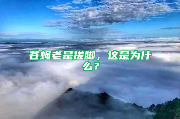 蒼蠅老是搓腳，這是為什么？