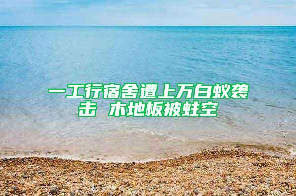 一工行宿舍遭上萬(wàn)白蟻襲擊 木地板被蛀空