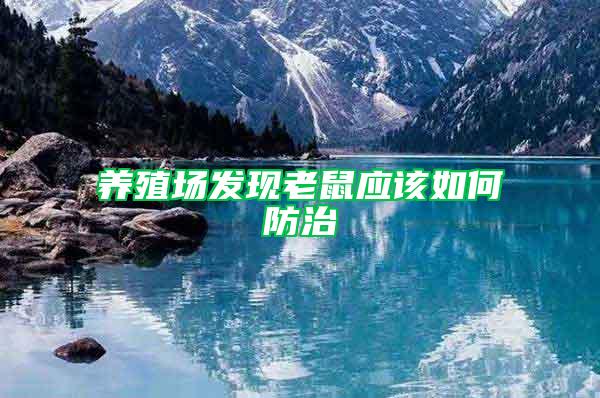 養(yǎng)殖場(chǎng)發(fā)現(xiàn)老鼠應(yīng)該如何防治
