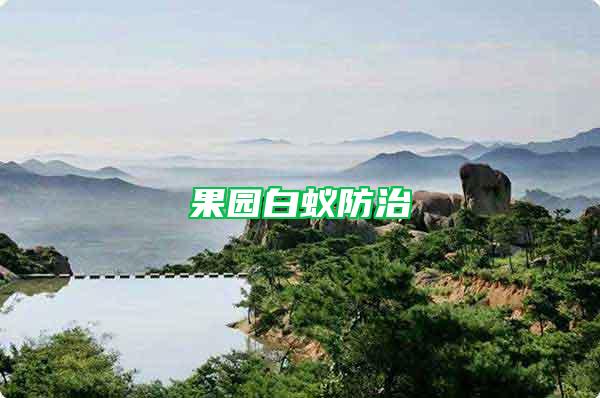 果園白蟻防治