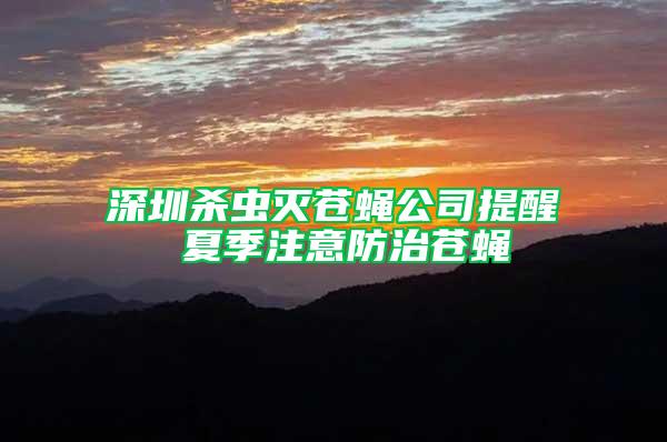 深圳殺蟲(chóng)滅蒼蠅公司提醒 夏季注意防治蒼蠅