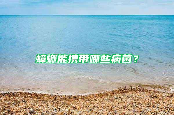 蟑螂能攜帶哪些病菌？