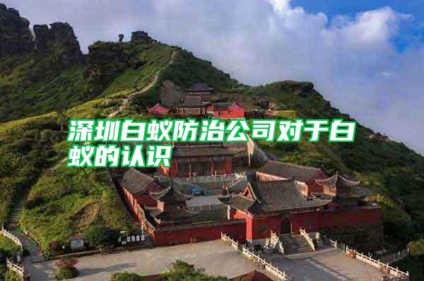 深圳白蟻防治公司對(duì)于白蟻的認(rèn)識(shí)