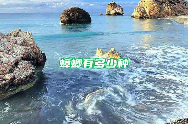 蟑螂有多少種