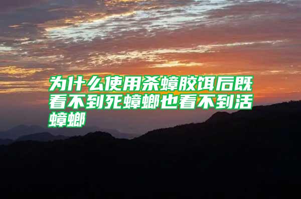 為什么使用殺蟑膠餌后既看不到死蟑螂也看不到活蟑螂