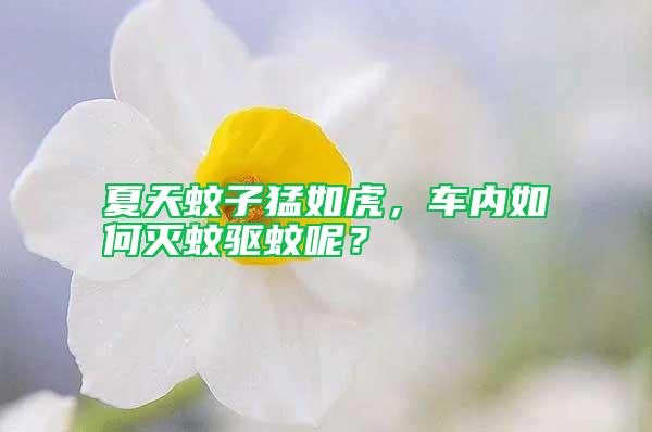 夏天蚊子猛如虎，車內(nèi)如何滅蚊驅(qū)蚊呢？