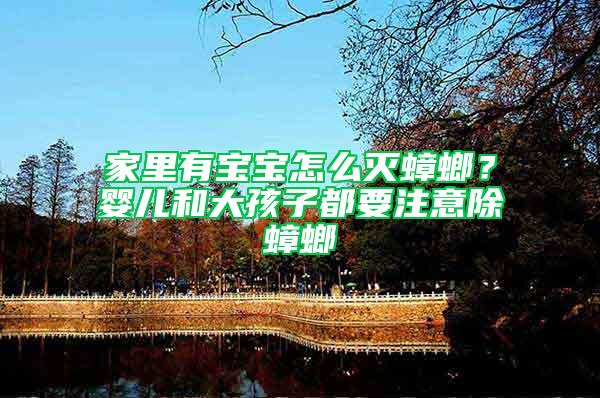 家里有寶寶怎么滅蟑螂？嬰兒和大孩子都要注意除蟑螂