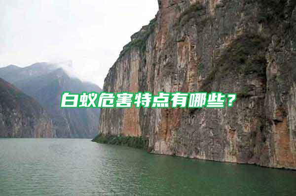 白蟻危害特點有哪些？