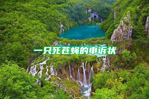 一只死蒼蠅的申訴狀