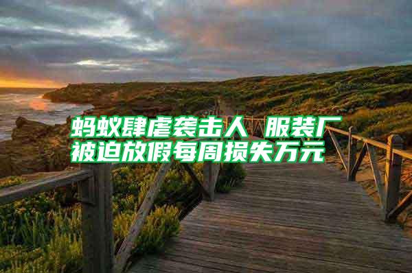 螞蟻肆虐襲擊人 服裝廠被迫放假每周損失萬元
