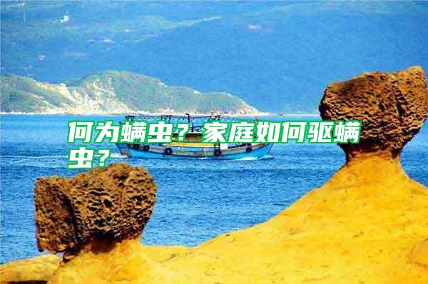 何為螨蟲(chóng)？家庭如何驅(qū)螨蟲(chóng)？
