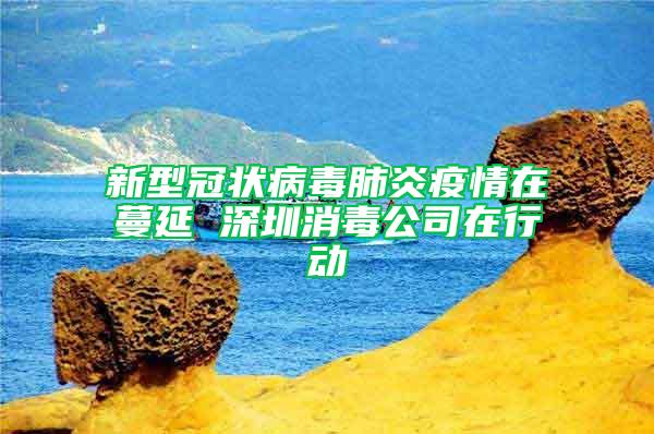 新型冠狀病毒肺炎疫情在蔓延 深圳消毒公司在行動(dòng)