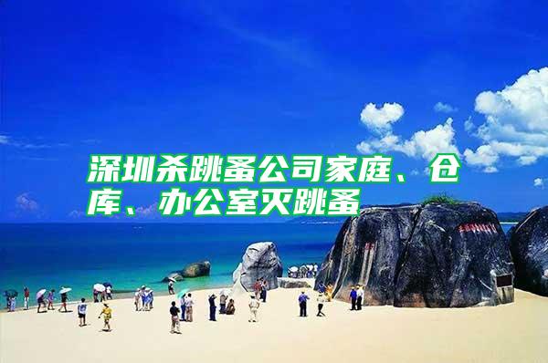 深圳殺跳蚤公司家庭、倉(cāng)庫(kù)、辦公室滅跳蚤