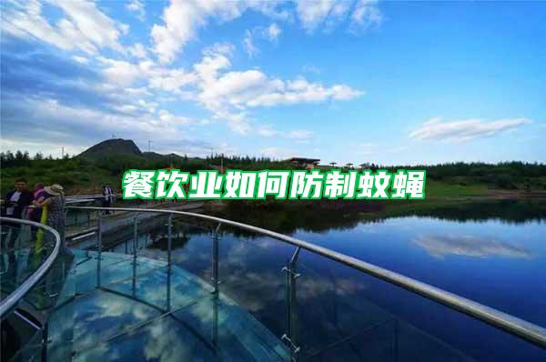 餐飲業(yè)如何防制蚊蠅