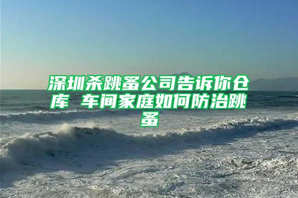 深圳殺跳蚤公司告訴你倉(cāng)庫(kù) 車間家庭如何防治跳蚤