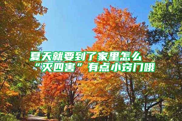夏天就要到了家里怎么“滅四害”有點(diǎn)小竅門哦