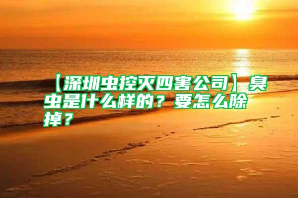 【深圳蟲控滅四害公司】臭蟲是什么樣的？要怎么除掉？