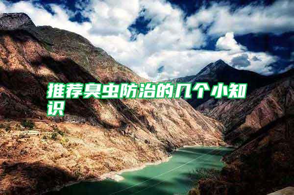 推薦臭蟲防治的幾個小知識