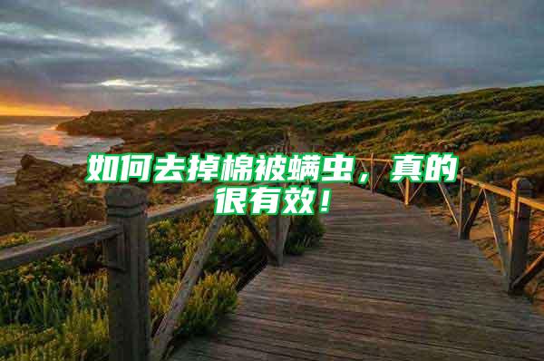 如何去掉棉被螨蟲，真的很有效！