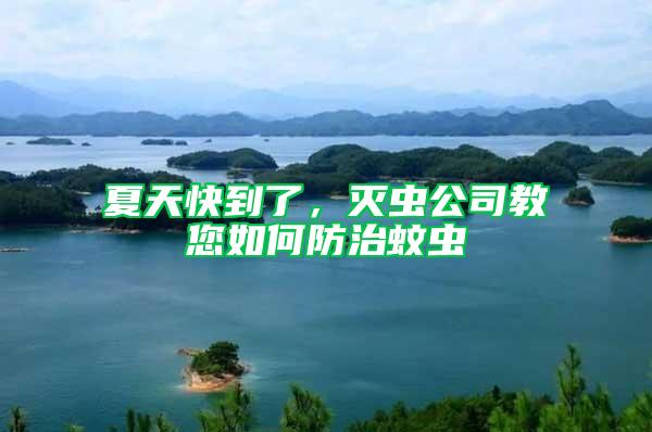 夏天快到了，滅蟲公司教您如何防治蚊蟲