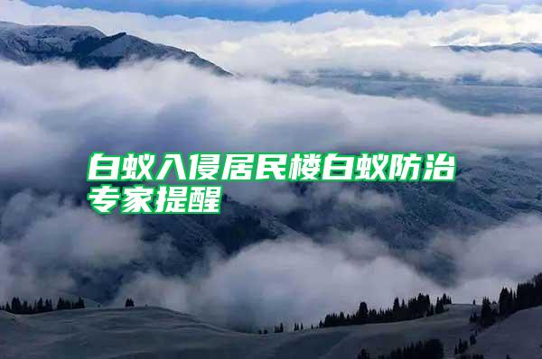 白蟻入侵居民樓白蟻防治專家提醒