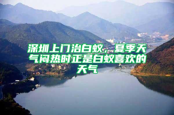 深圳上門治白蟻，夏季天氣悶熱時正是白蟻喜歡的天氣