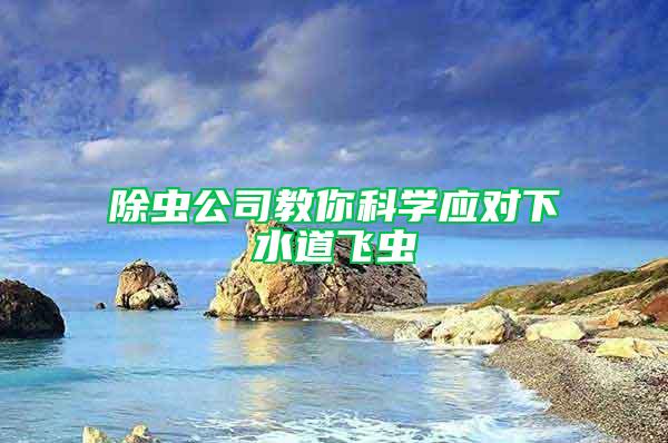 除蟲公司教你科學應對下水道飛蟲