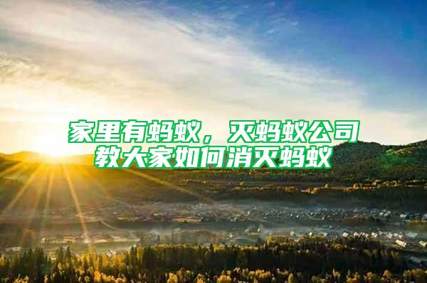 家里有螞蟻，滅螞蟻公司教大家如何消滅螞蟻
