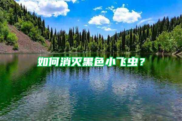 如何消滅黑色小飛蟲？