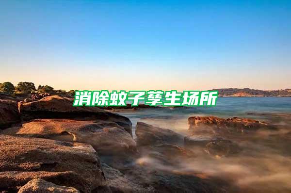消除蚊子孳生場所
