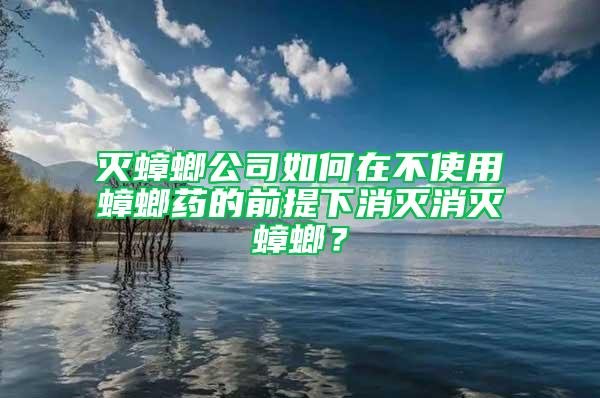 滅蟑螂公司如何在不使用蟑螂藥的前提下消滅消滅蟑螂？