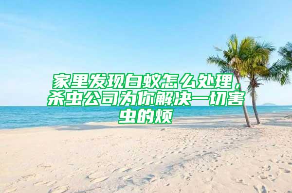 家里發(fā)現(xiàn)白蟻怎么處理，殺蟲(chóng)公司為你解決一切害蟲(chóng)的煩