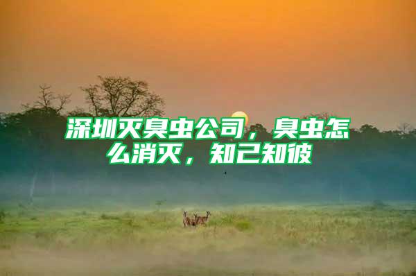 深圳滅臭蟲公司，臭蟲怎么消滅，知己知彼