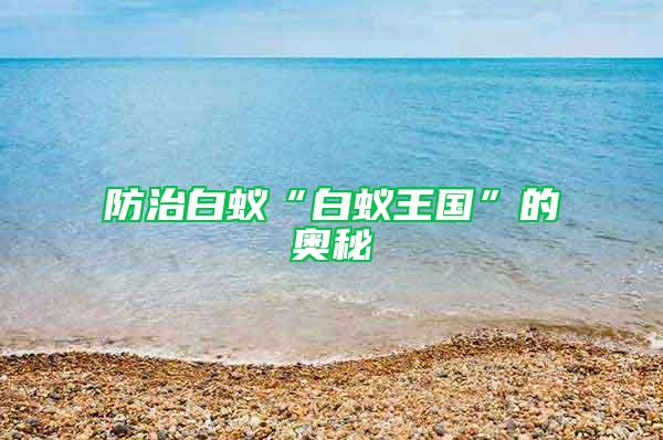 防治白蟻“白蟻王國”的奧秘