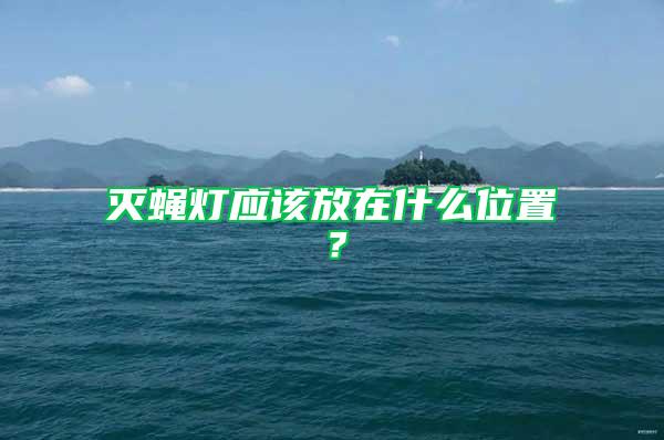 滅蠅燈應(yīng)該放在什么位置？