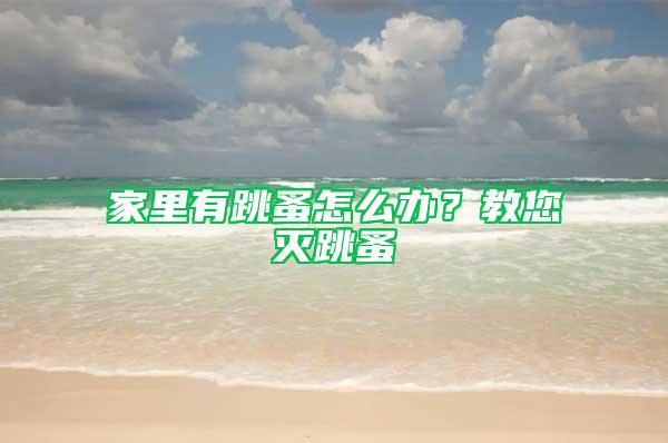 家里有跳蚤怎么辦？教您滅跳蚤