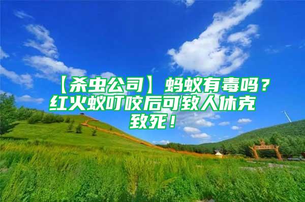 【殺蟲公司】螞蟻有毒嗎？紅火蟻叮咬后可致人休克致死！