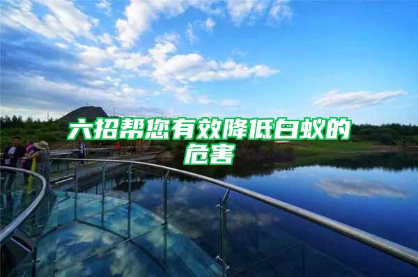 六招幫您有效降低白蟻的危害