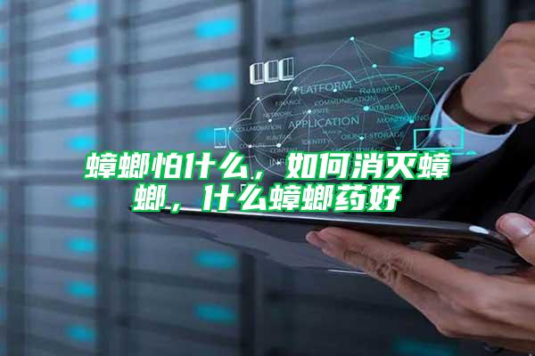 蟑螂怕什么，如何消滅蟑螂，什么蟑螂藥好