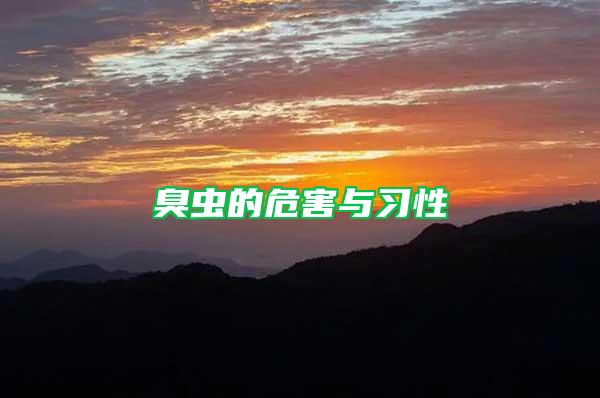 臭蟲的危害與習性