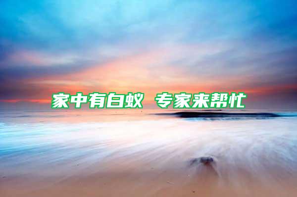 家中有白蟻 專(zhuān)家來(lái)幫忙