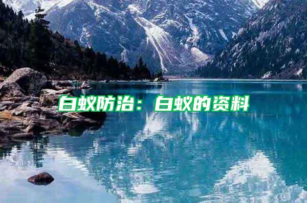 白蟻防治：白蟻的資料
