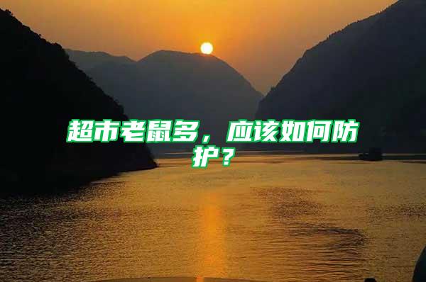 超市老鼠多，應(yīng)該如何防護？