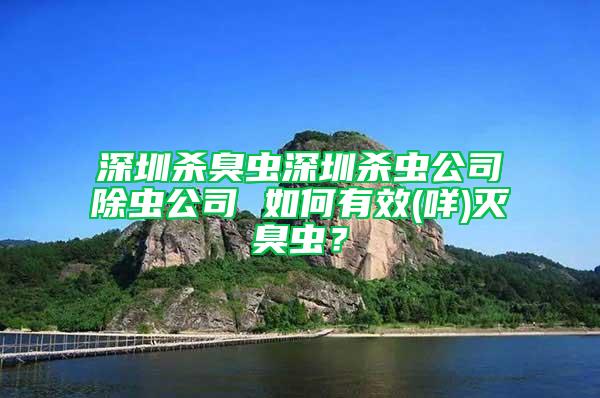 深圳殺臭蟲深圳殺蟲公司除蟲公司 如何有效(咩)滅臭蟲？