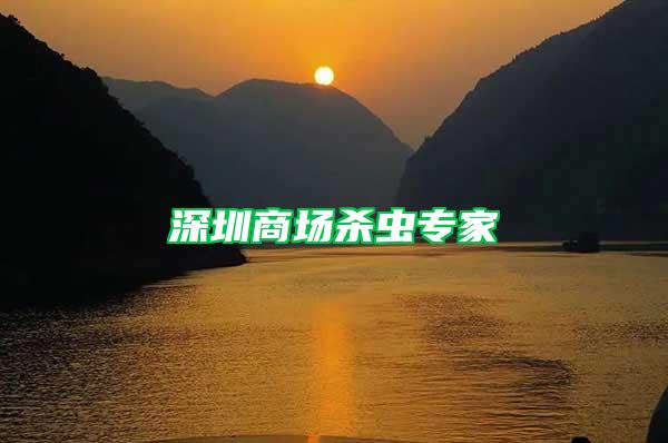 深圳商場殺蟲專家