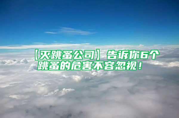 【滅跳蚤公司】告訴你6個跳蚤的危害不容忽視！
