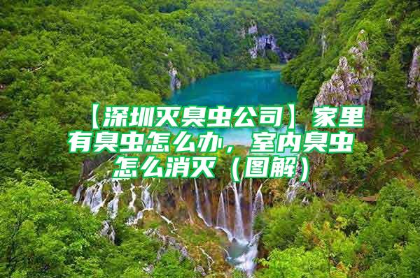 【深圳滅臭蟲公司】家里有臭蟲怎么辦，室內(nèi)臭蟲怎么消滅（圖解）