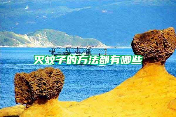 滅蚊子的方法都有哪些