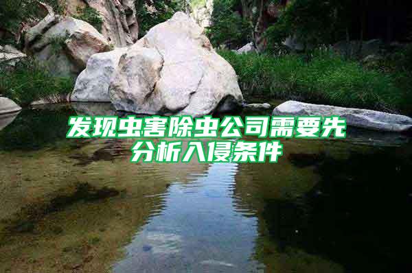 發(fā)現(xiàn)蟲害除蟲公司需要先分析入侵條件