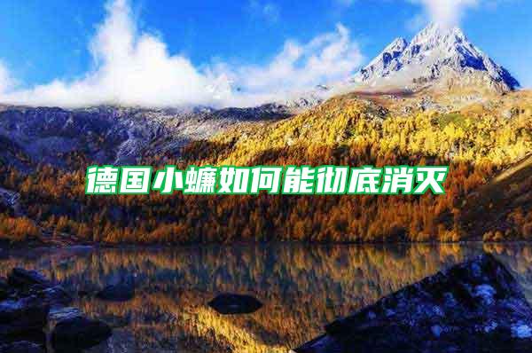德國(guó)小蠊如何能徹底消滅